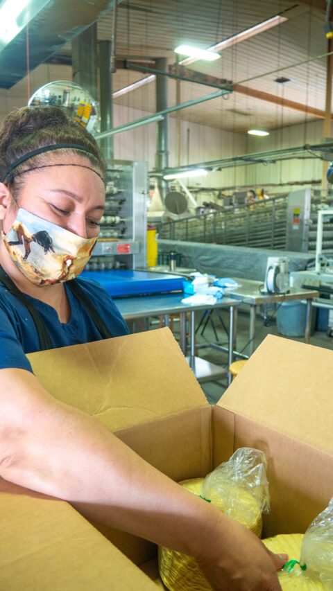 Packing tortillas at the Mrs Rios factory